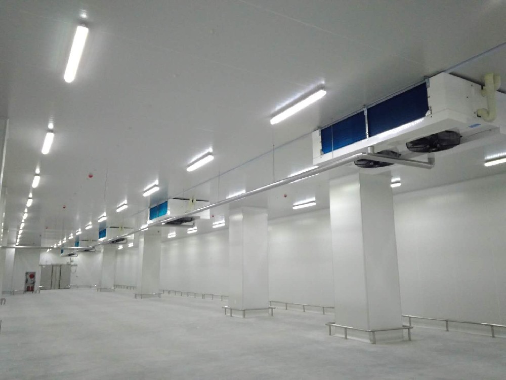 建設8500㎡陰涼物流低溫倉庫安裝配置方案費用是多少？